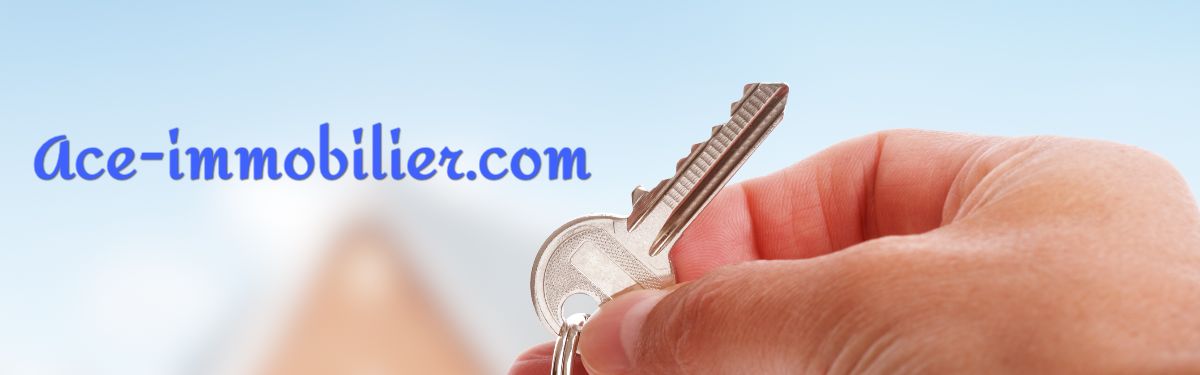 ace-immobilier.com